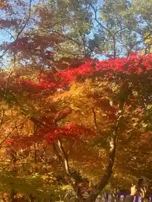 北野天満宮(京都府)