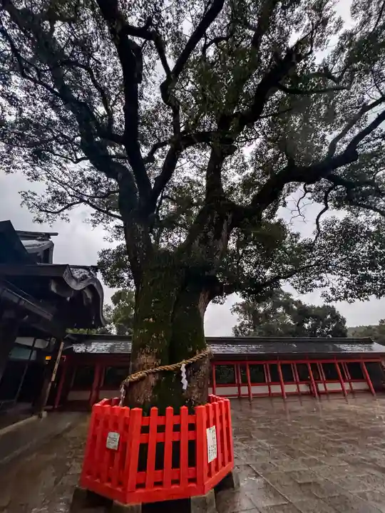 宇佐神宮の自然