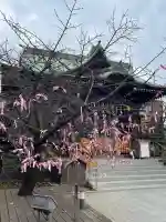 桜神宮(東京都)