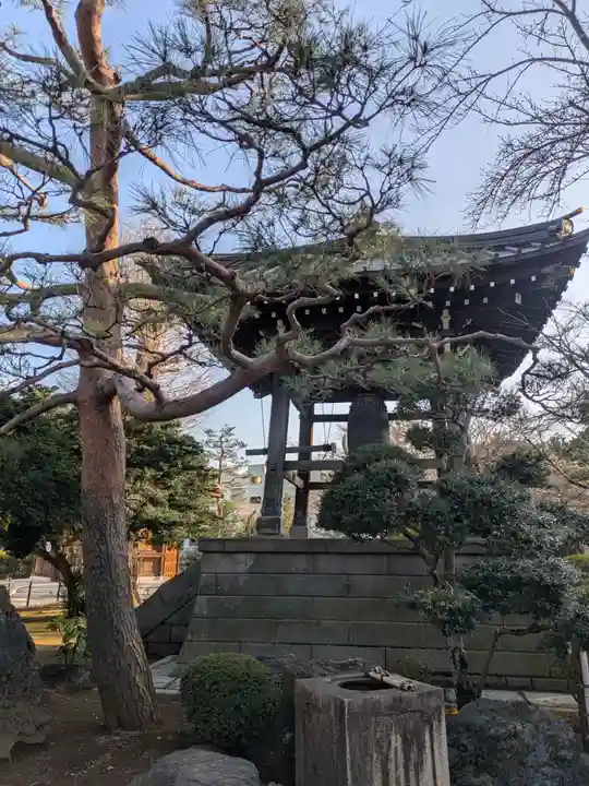 豪徳寺(東京都)