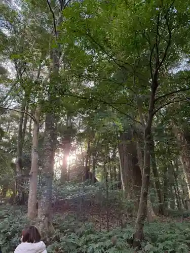 伊勢神宮内宮（皇大神宮）の{uncategorized: "未分類", other: "その他", undefined: "問題あり", building: "その他建物", grave: "お墓", sacred_gate: "鳥居", guardian: "狛犬", statue: "像", buddha: "仏像", history: "歴史", nature: "自然", garden: "庭園", animal: "動物", pagoda: "塔", temizu: "手水舎", mountain_gate: "山門・神門", sanctuary: "本殿・本堂", subordinate: "末社・摂社", art: "芸術", scenery: "景色", jizo: "地蔵", ema: "絵馬", goshuin: "御朱印", omikuji: "おみくじ", items: "授与品その他", amulet: "お守り", goshuincho: "御朱印帳", eats: "食事", festival: "お祭り", votive_dance: "神楽", shichigosan: "七五三参", wedding: "結婚式", experience: "体験その他", initially: "初詣", around: "周辺", anti_infection: "感染症対策"}