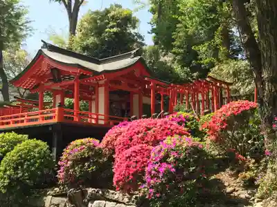 根津神社(東京都)