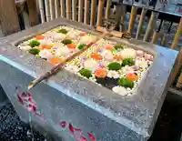 高円寺氷川神社(東京都)