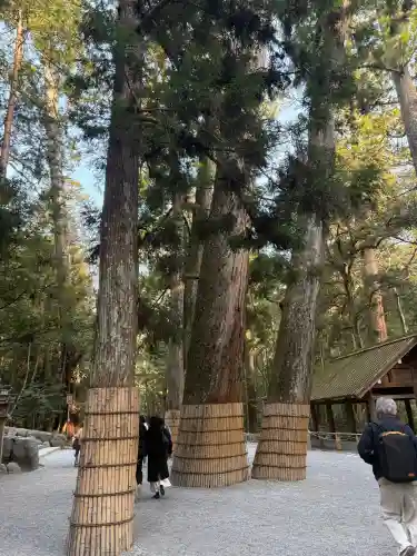 伊勢神宮内宮（皇大神宮）の{uncategorized: "未分類", other: "その他", undefined: "問題あり", building: "その他建物", grave: "お墓", sacred_gate: "鳥居", guardian: "狛犬", statue: "像", buddha: "仏像", history: "歴史", nature: "自然", garden: "庭園", animal: "動物", pagoda: "塔", temizu: "手水舎", mountain_gate: "山門・神門", sanctuary: "本殿・本堂", subordinate: "末社・摂社", art: "芸術", scenery: "景色", jizo: "地蔵", ema: "絵馬", goshuin: "御朱印", omikuji: "おみくじ", items: "授与品その他", amulet: "お守り", goshuincho: "御朱印帳", eats: "食事", festival: "お祭り", votive_dance: "神楽", shichigosan: "七五三参", wedding: "結婚式", experience: "体験その他", initially: "初詣", around: "周辺", anti_infection: "感染症対策"}