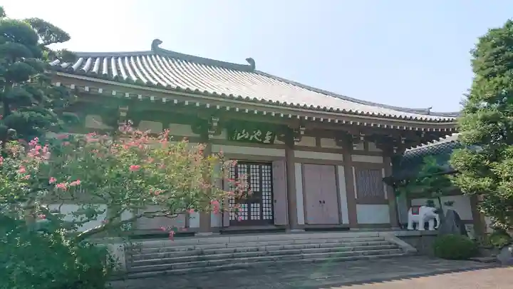 蓮光寺の本殿・本堂