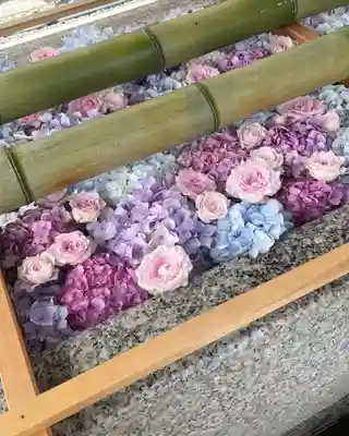 白山神社の手水舎