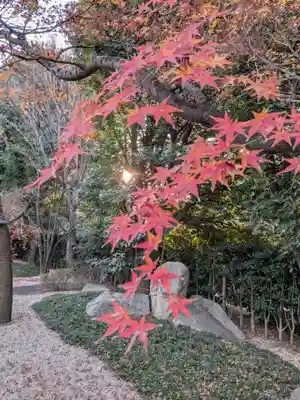 高円寺(東京都)