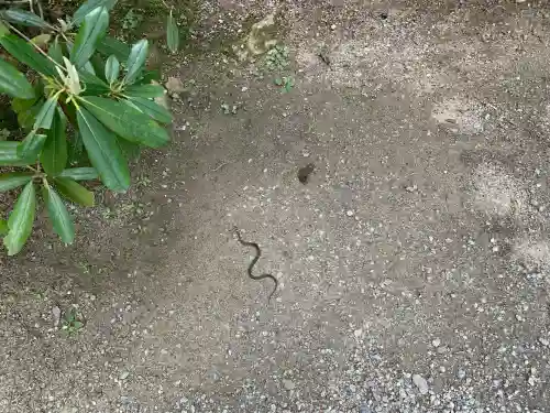 室生寺の{uncategorized: "未分類", other: "その他", undefined: "問題あり", building: "その他建物", grave: "お墓", sacred_gate: "鳥居", guardian: "狛犬", statue: "像", buddha: "仏像", history: "歴史", nature: "自然", garden: "庭園", animal: "動物", pagoda: "塔", temizu: "手水舎", mountain_gate: "山門・神門", sanctuary: "本殿・本堂", subordinate: "末社・摂社", art: "芸術", scenery: "景色", jizo: "地蔵", ema: "絵馬", goshuin: "御朱印", omikuji: "おみくじ", items: "授与品その他", amulet: "お守り", goshuincho: "御朱印帳", eats: "食事", festival: "お祭り", votive_dance: "神楽", shichigosan: "七五三参", wedding: "結婚式", experience: "体験その他", initially: "初詣", around: "周辺", anti_infection: "感染症対策"}