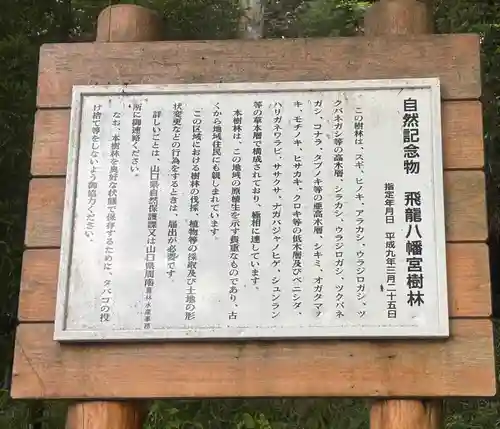 飛龍八幡宮(山口県)