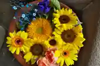 菅生神社(愛知県)