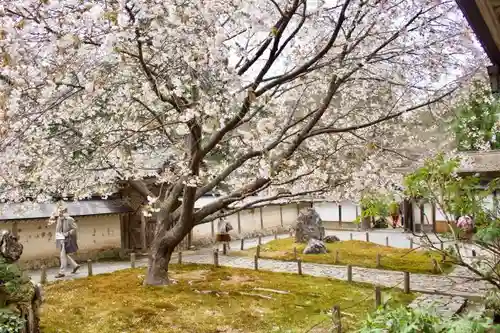 常照皇寺の庭園