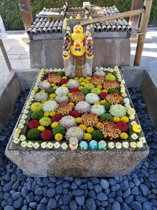 くろ谷 金戒光明寺(京都府)