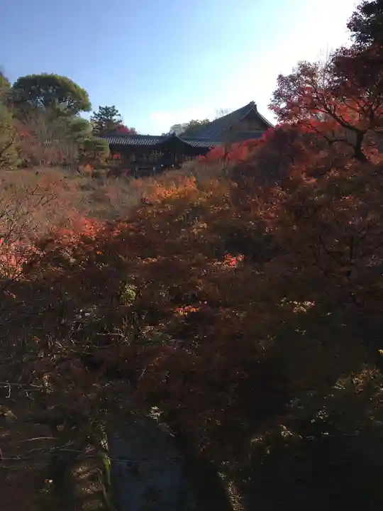 東福禅寺(東福寺)の自然