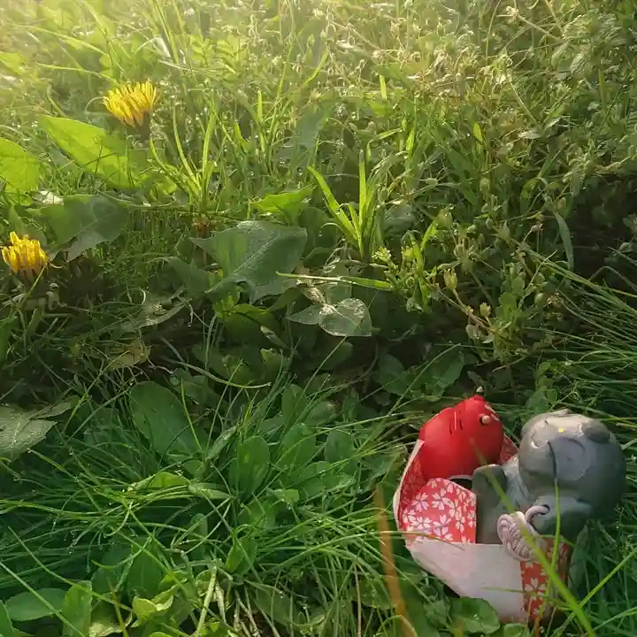 尾張大國霊神社(国府宮)の自然