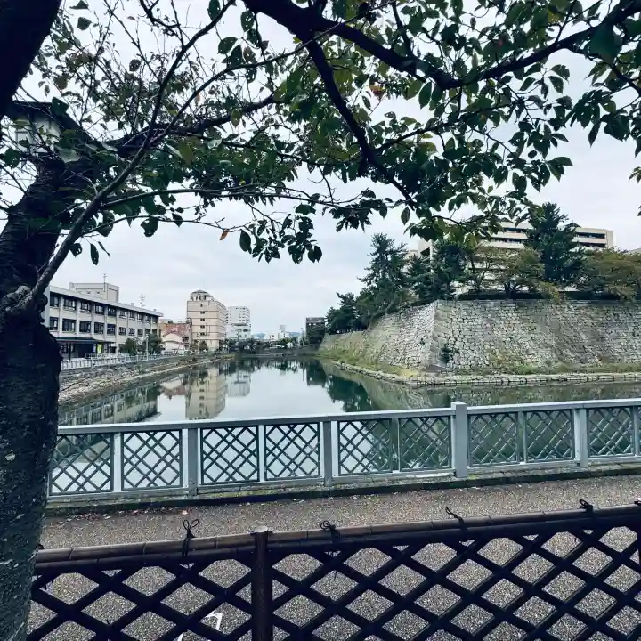 福井神社(福井県)