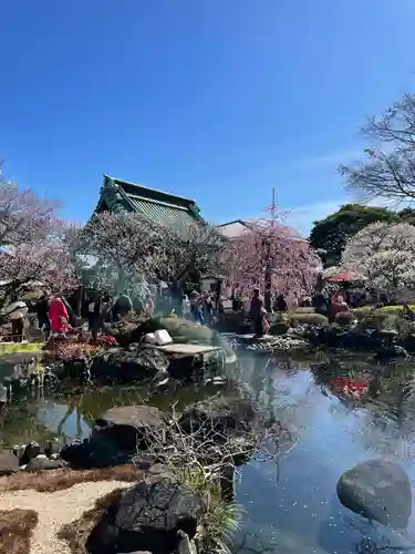 長谷寺の景色