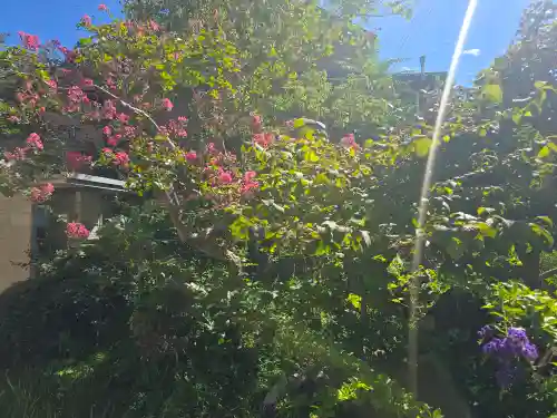 地蔵寺(和歌山県)