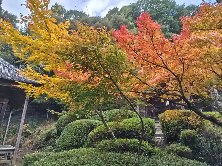 真禅院(岐阜県)