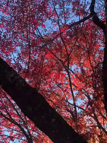 木舟山　順教寺の自然