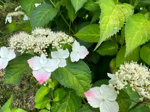 塩船観音寺(東京都)