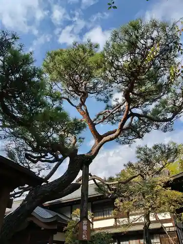 金剛院の庭園