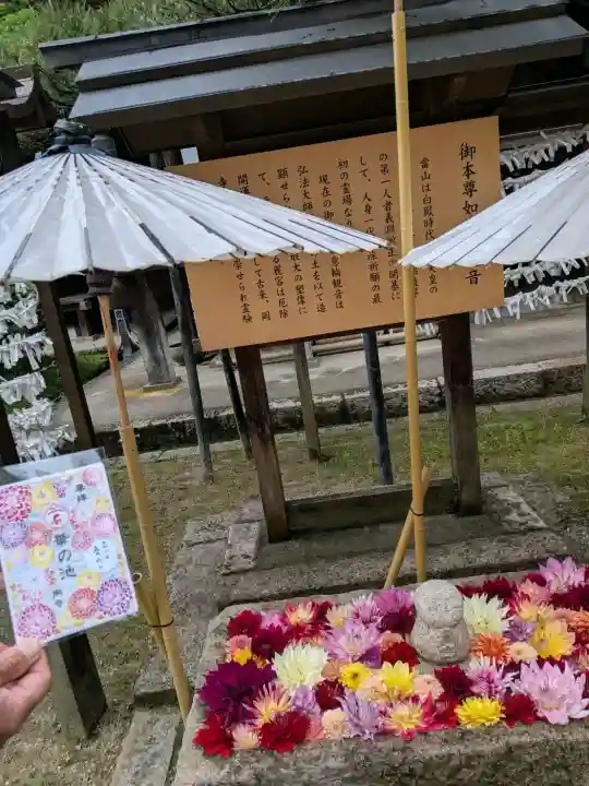 岡寺(龍蓋寺)(奈良県)