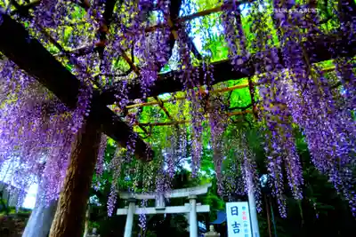 日吉神社(東京都)