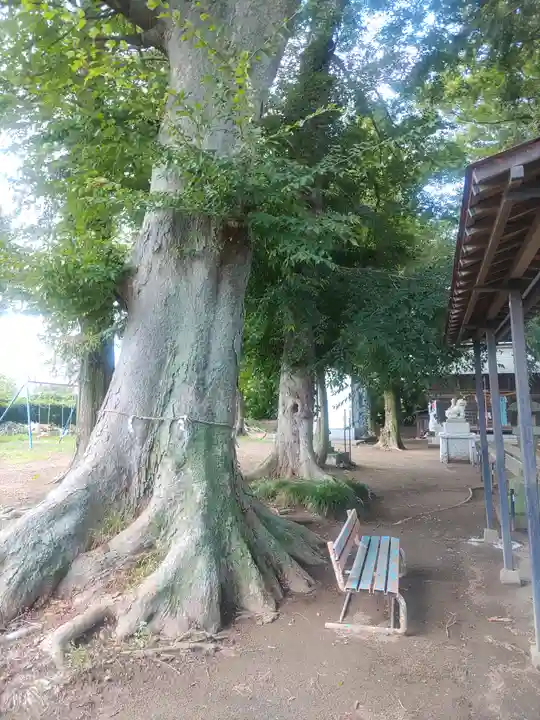 鎌庭香取神社(茨城県)