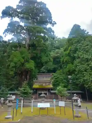 若狭姫神社（若狭彦神社下社）(福井県)