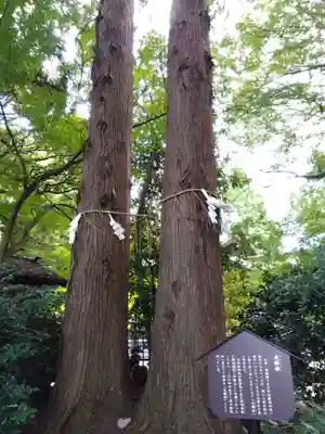 杉原神社(富山県)