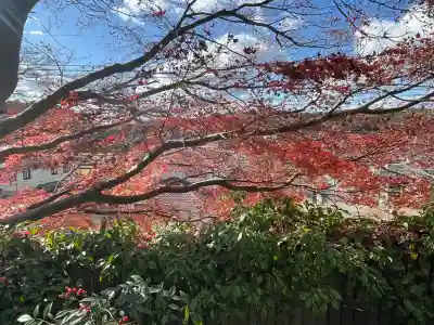 正法寺(福岡県)