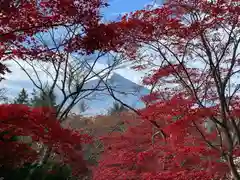 新倉富士浅間神社の景色