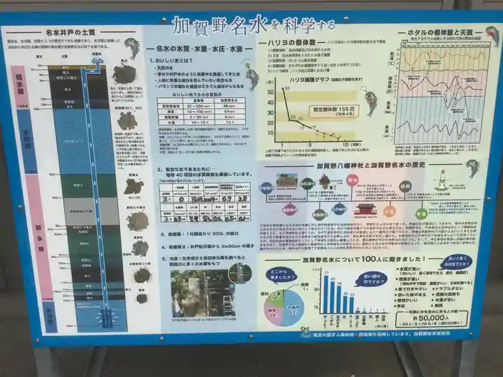 加賀野八幡神社の自然