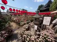 おふさ観音(観音寺)の{uncategorized: "未分類", other: "その他", undefined: "問題あり", building: "その他建物", grave: "お墓", sacred_gate: "鳥居", guardian: "狛犬", statue: "像", buddha: "仏像", history: "歴史", nature: "自然", garden: "庭園", animal: "動物", pagoda: "塔", temizu: "手水舎", mountain_gate: "山門・神門", sanctuary: "本殿・本堂", subordinate: "末社・摂社", art: "芸術", scenery: "景色", jizo: "地蔵", ema: "絵馬", goshuin: "御朱印", omikuji: "おみくじ", items: "授与品その他", amulet: "お守り", goshuincho: "御朱印帳", eats: "食事", festival: "お祭り", votive_dance: "神楽", shichigosan: "七五三参", wedding: "結婚式", experience: "体験その他", initially: "初詣", around: "周辺", anti_infection: "感染症対策"}