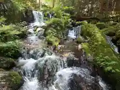 天徳寺の自然