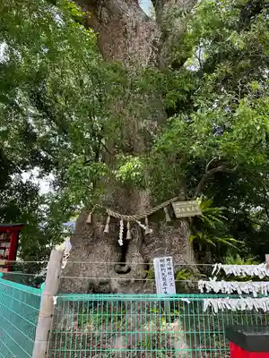七狩長田貫神社の自然