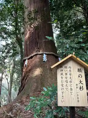 丹生川上神社（中社）(奈良県)
