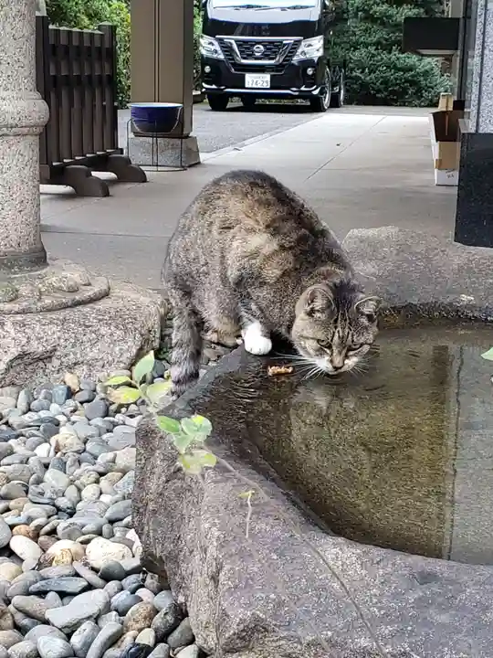白金氷川神社(東京都)