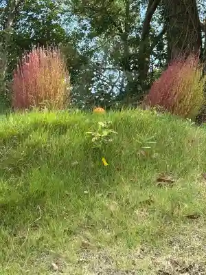 ほしいも神社(茨城県)