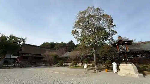 橿原神宮(奈良県)