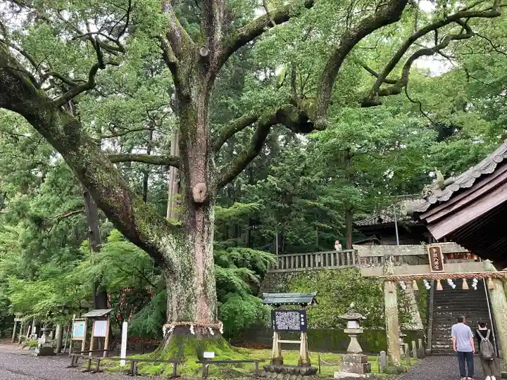 事任八幡宮(静岡県)