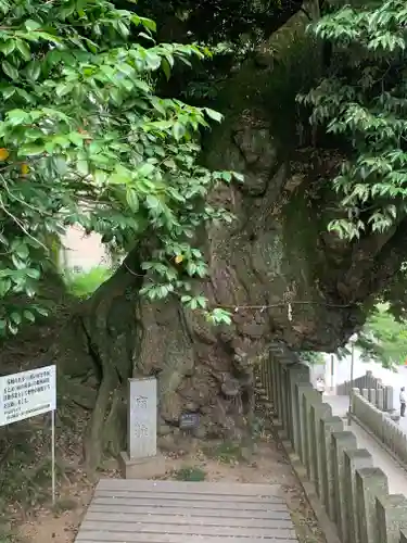 楽法寺（雨引観音）の自然