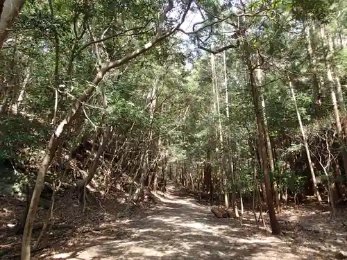 胡禄神社の自然
