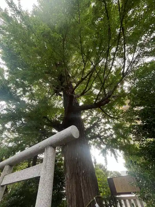 朝日氷川神社(埼玉県)