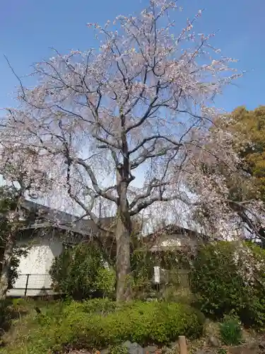 白旗神社(神奈川県)