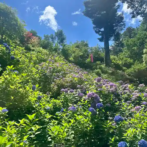 鷲子山上神社(栃木県)