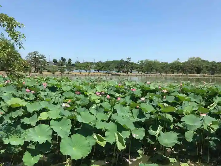 牟禮山観音禅寺の周辺