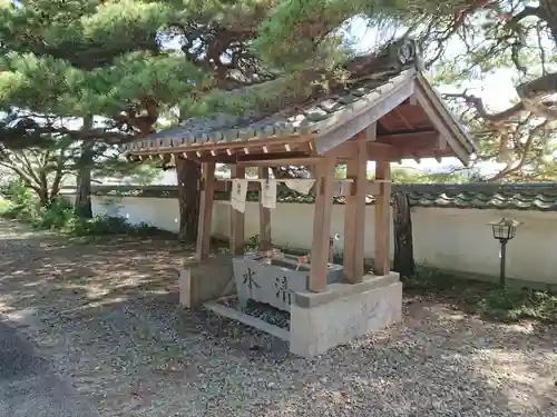 護国神社の手水舎