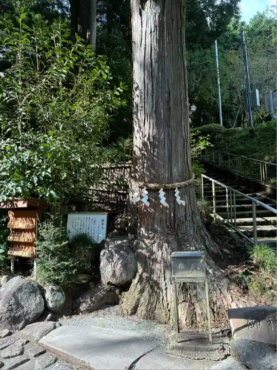 神場山神社(静岡県)
