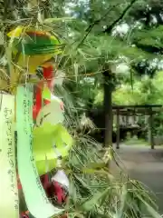 藤白神社のお祭り